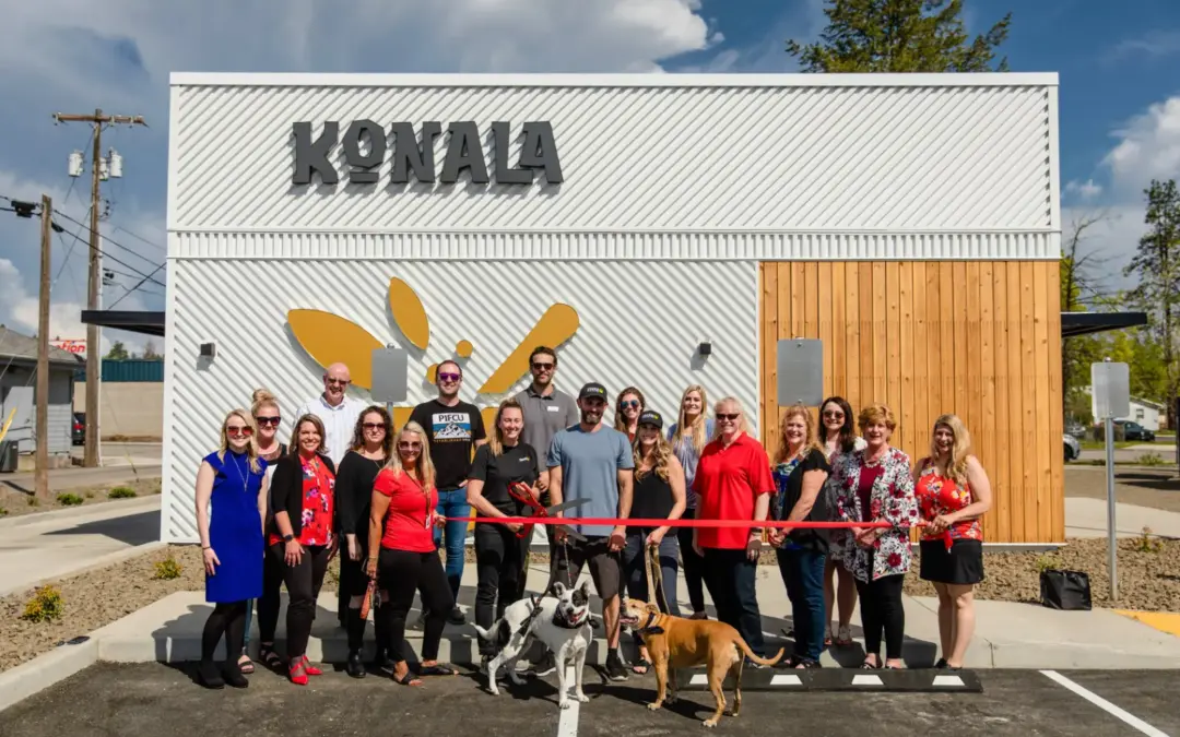 Simplicity of Konala’s Business Model